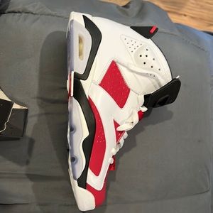 Jordan 6 Carmine 2014 NWT